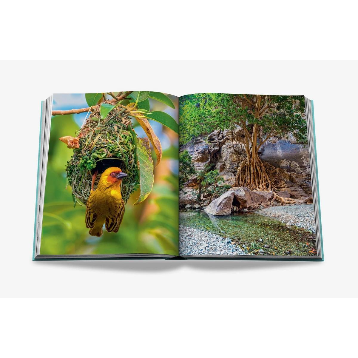 Assouline - Red Sea The Saudi Coast Kitap