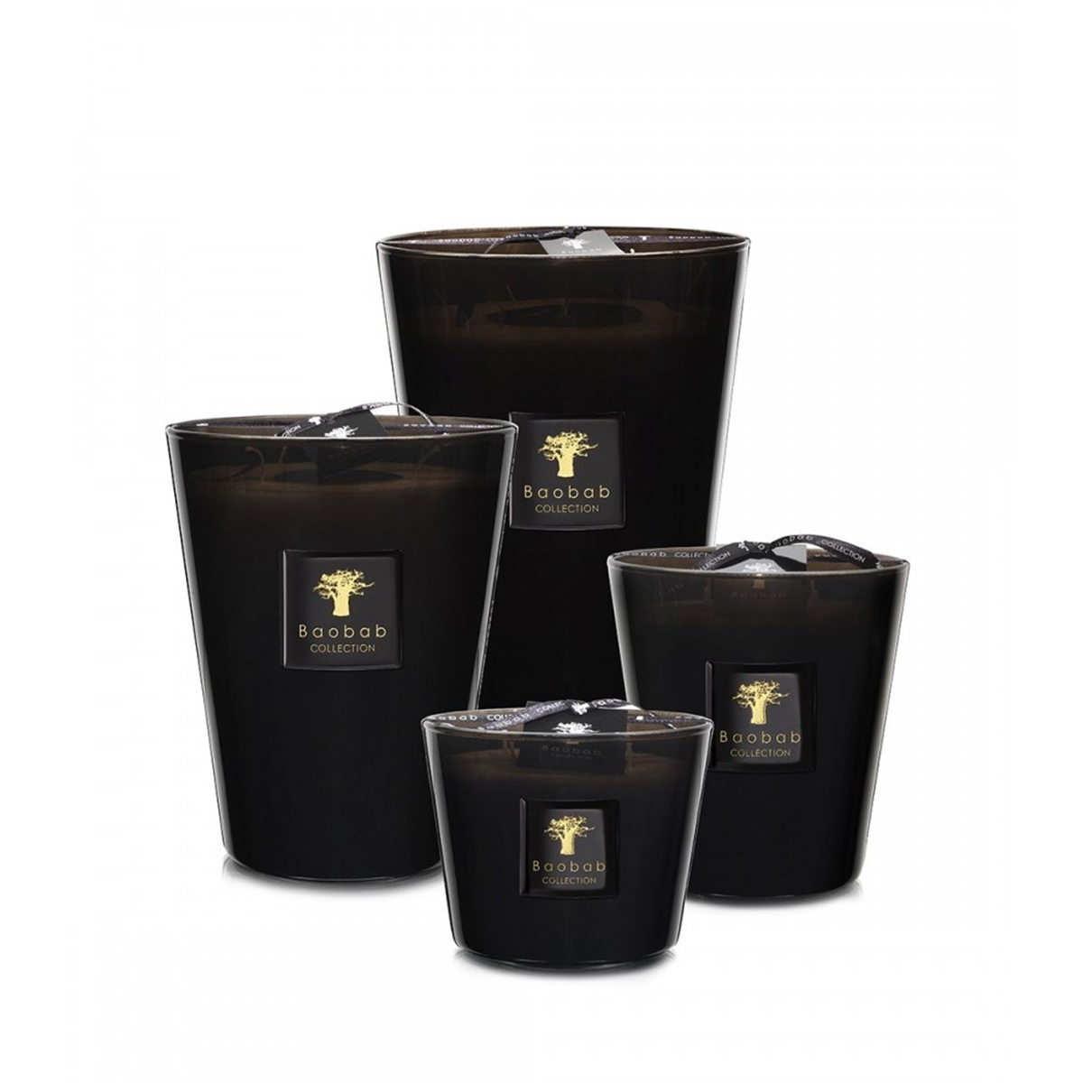 Baobab Collection - Encre De China Max10