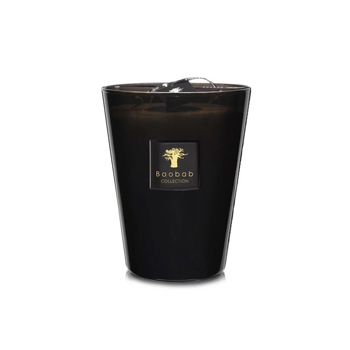 Baobab Collection - Encre De China Max24