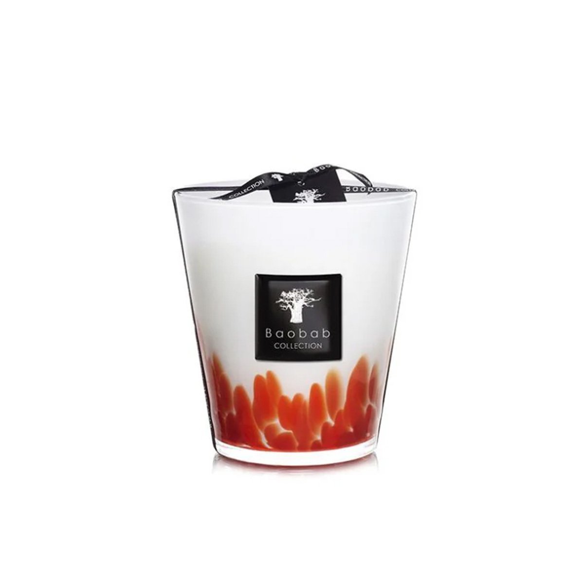 Baobab Collection - Feathers Maasai Max16