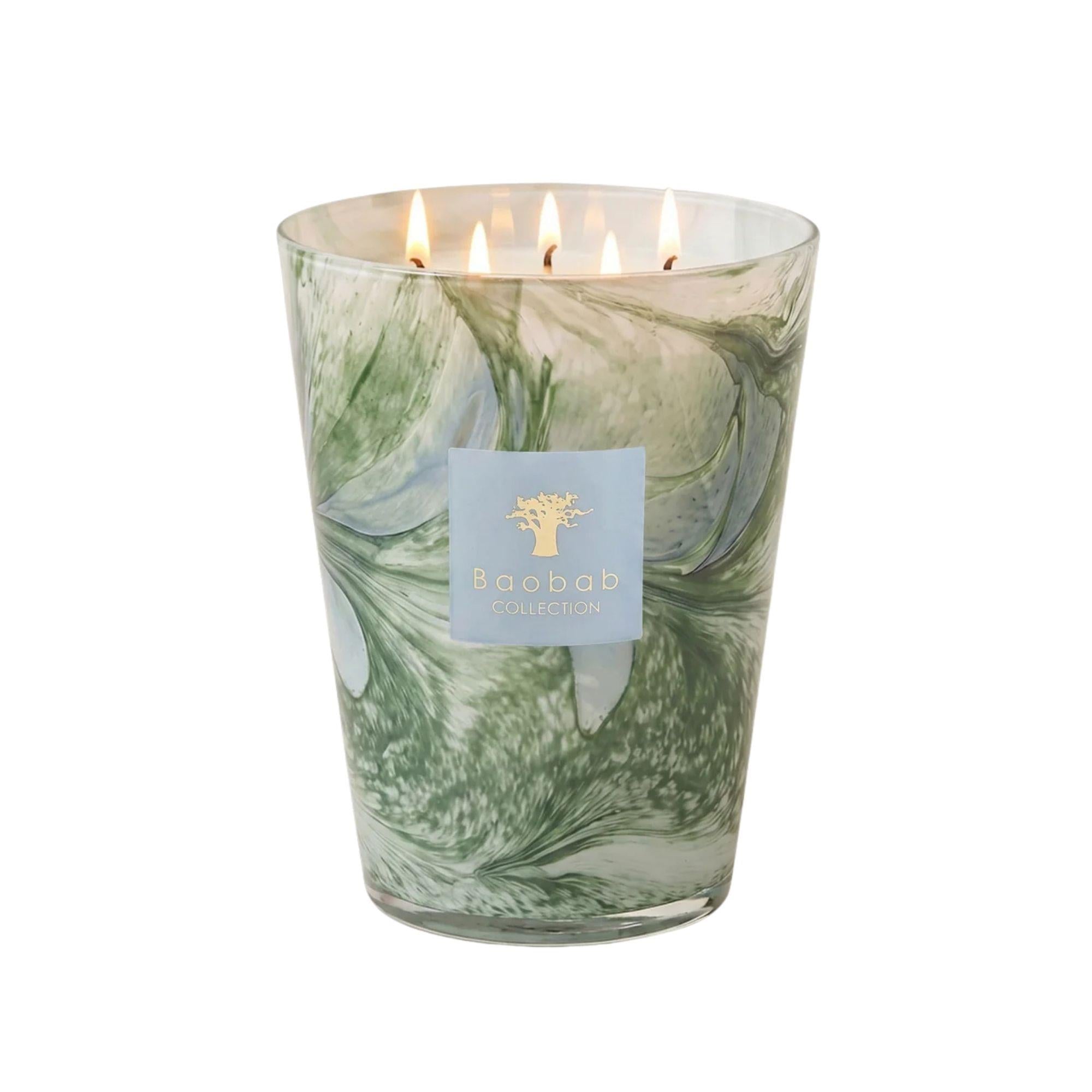 Baobab Collection - Leaves Marius Max24 Mum