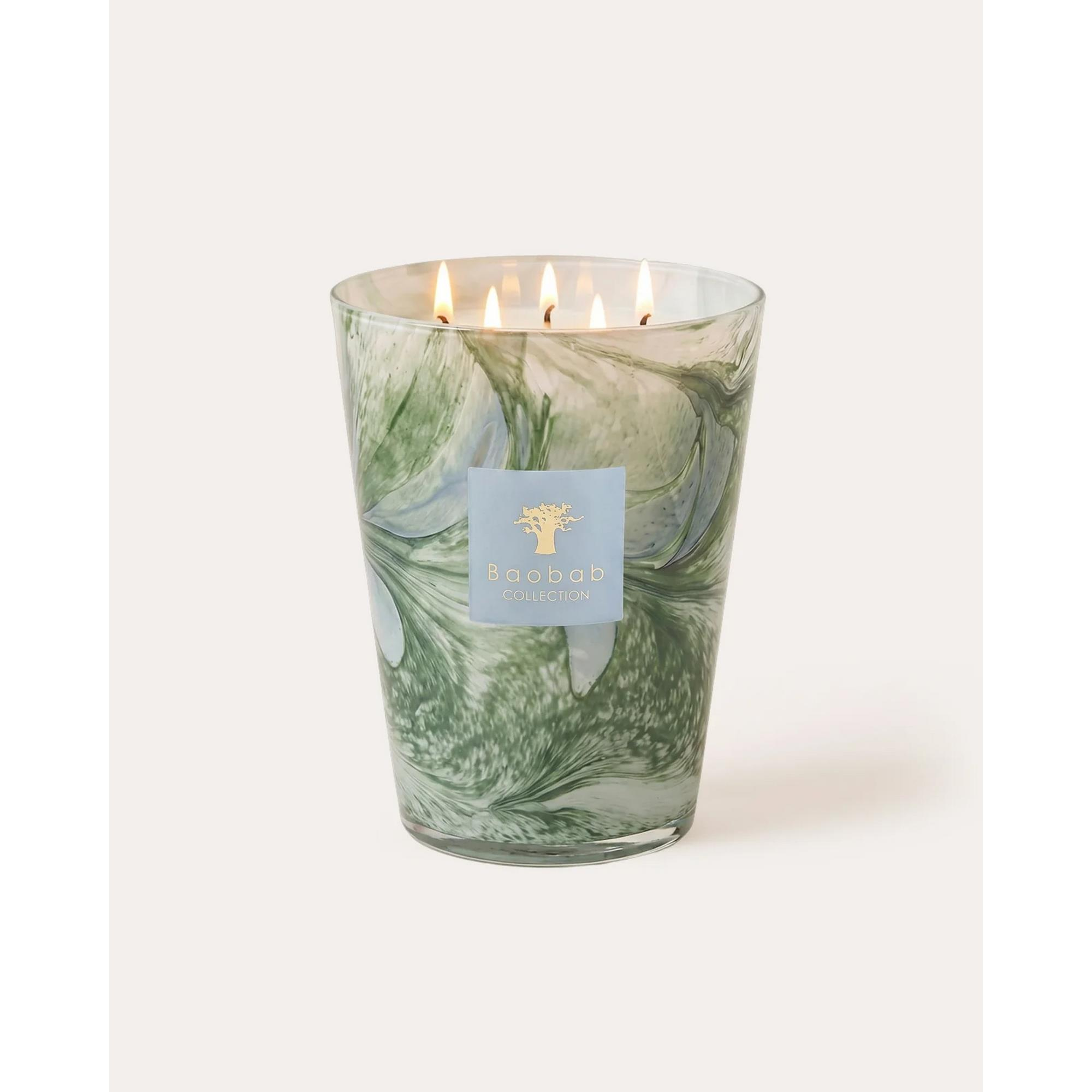 Baobab Collection - Leaves Marius Max24 Mum