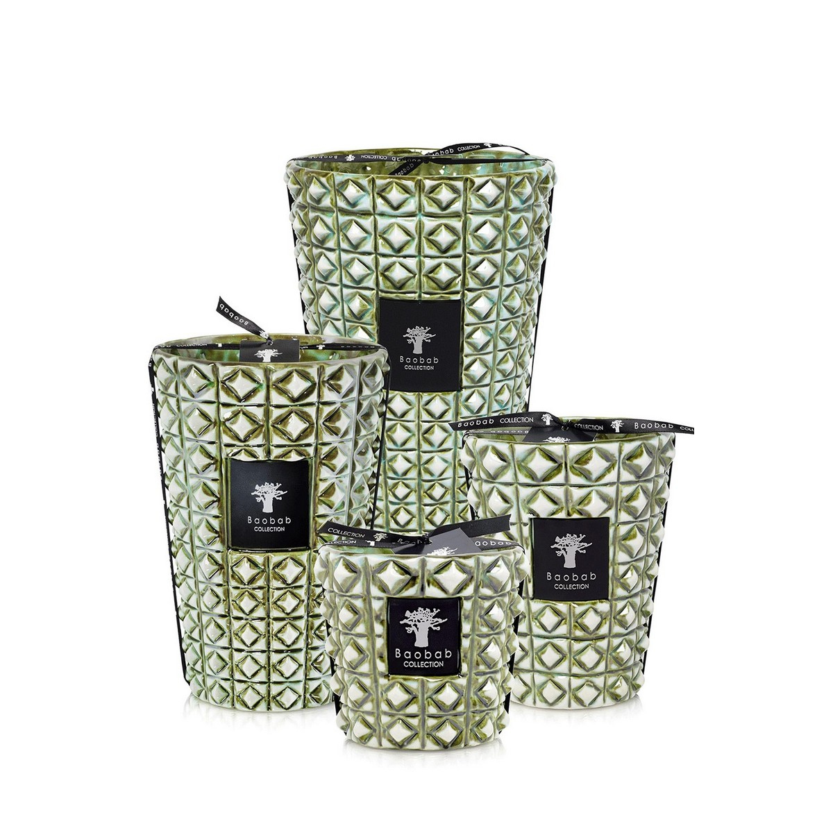 Baobab Collection - Max16 Modernista Verdor Mum