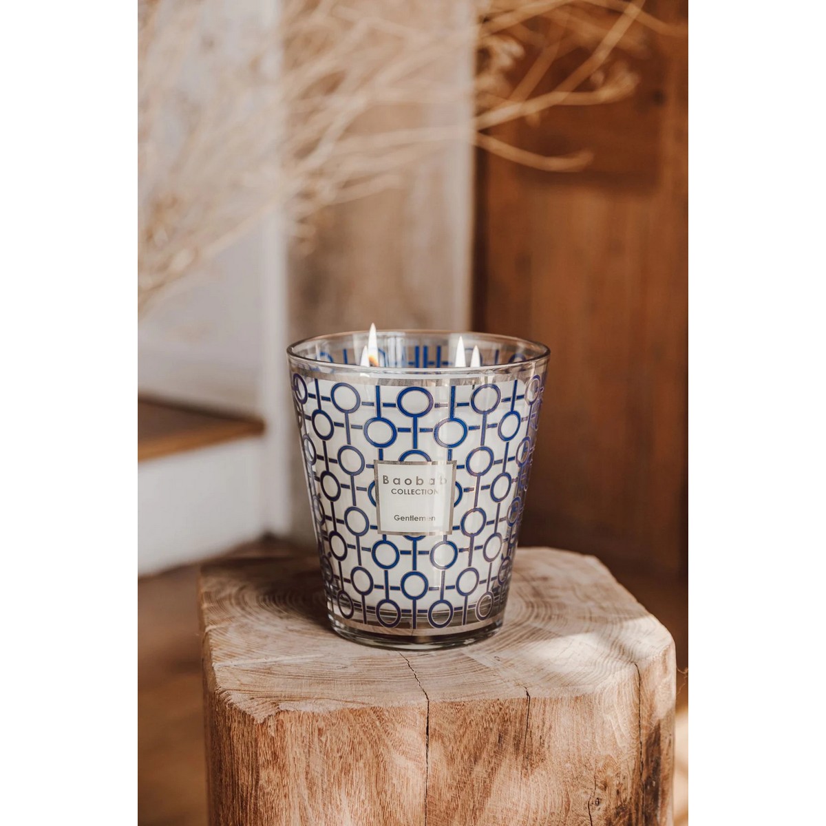 Baobab Collection - Max24 Gentlemen Mum