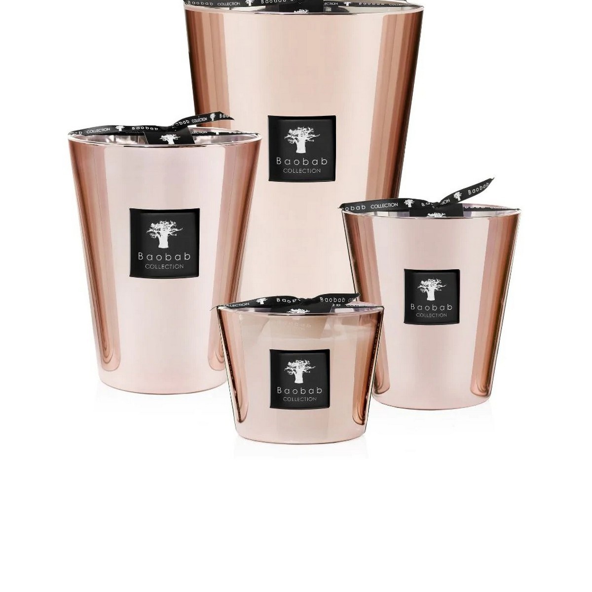 Baobab Collection - Rose Max24 Mum