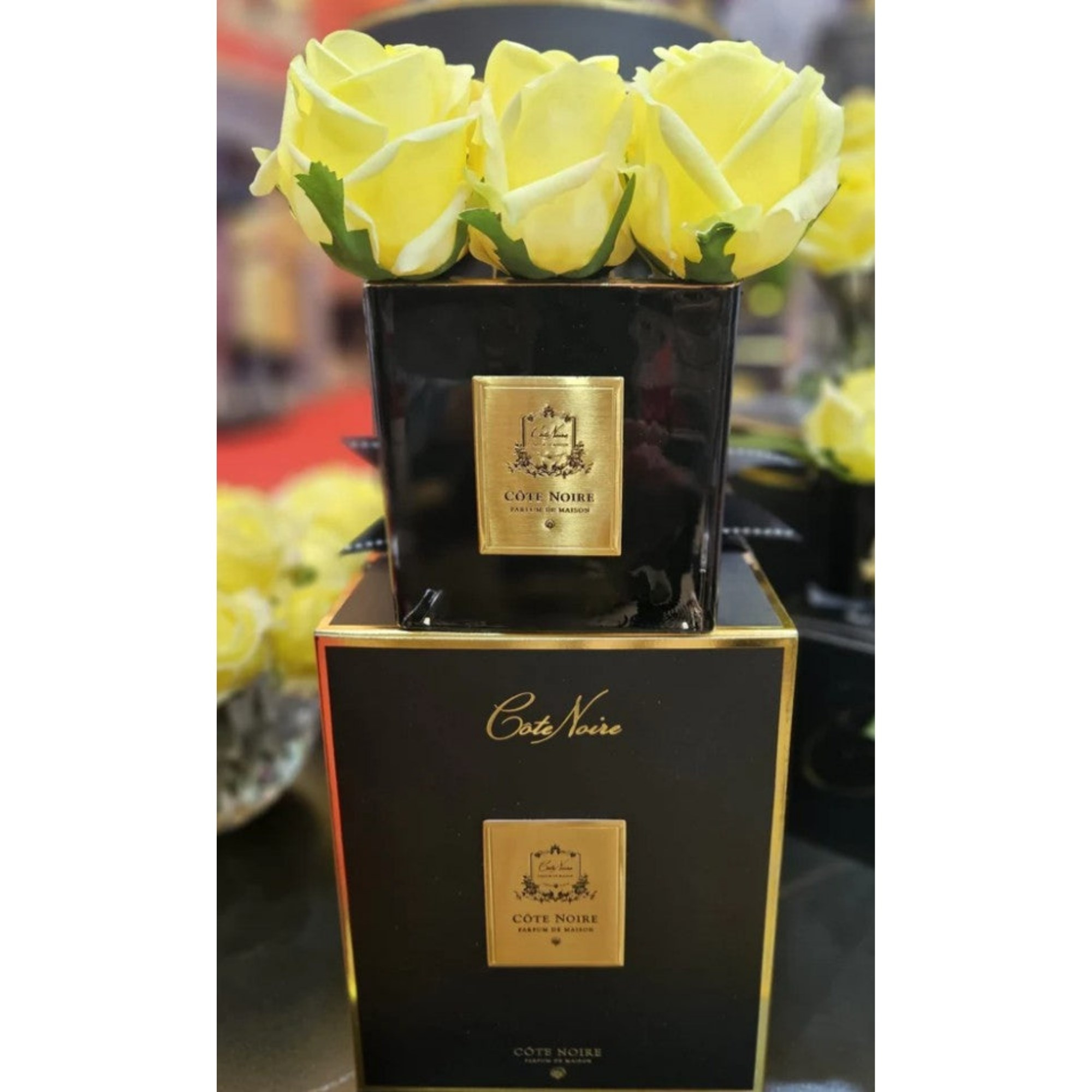 Cote Noire - 9 Güllü Sarı Siyah Vazolu Kokulu Çiçek