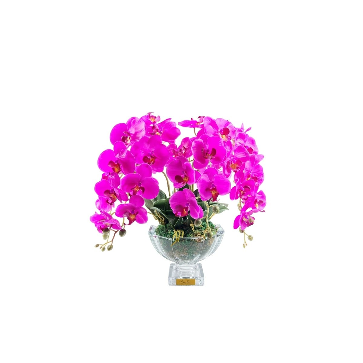 Cote Noire - Luxury Centerpiece Mor Orkide Koku