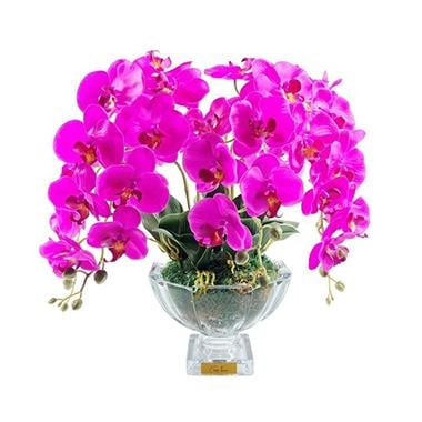 Cote Noire - Luxury Centerpiece Mor Orkide Koku
