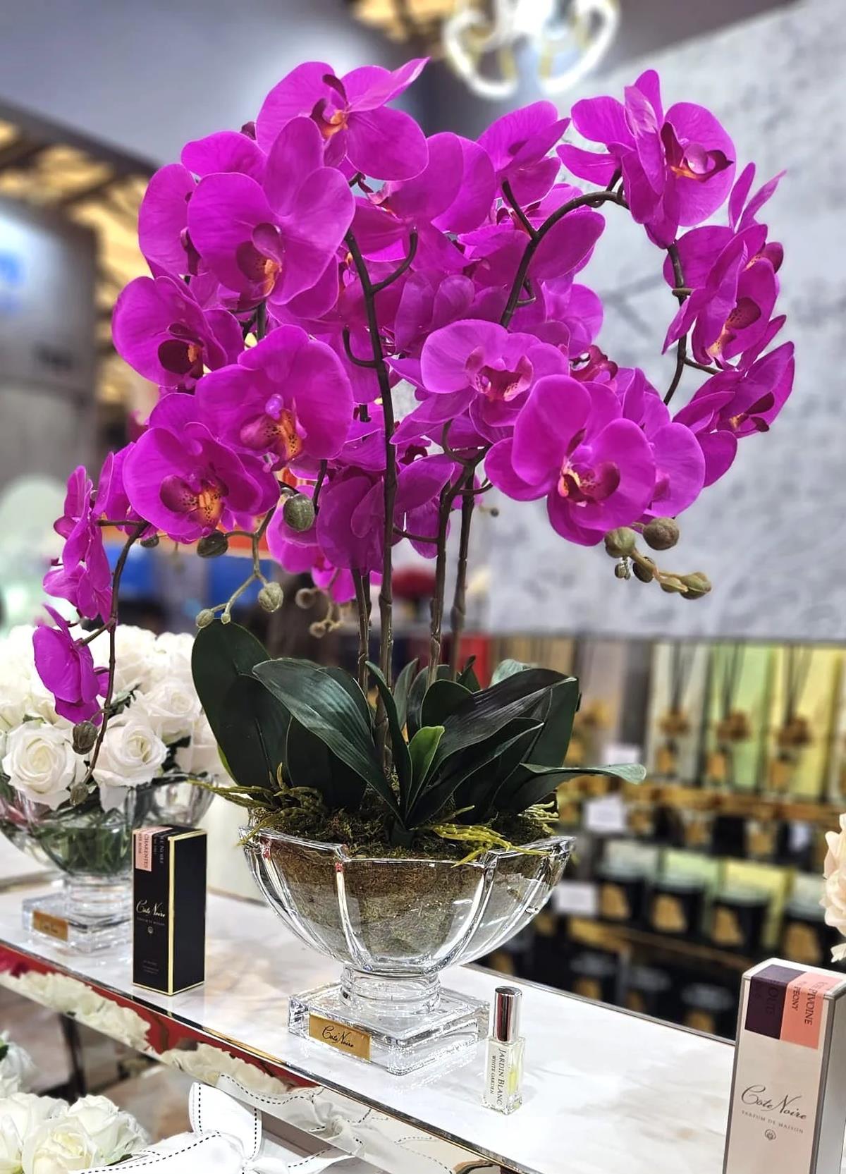 Cote Noire - Luxury Centerpiece Mor Orkide Koku