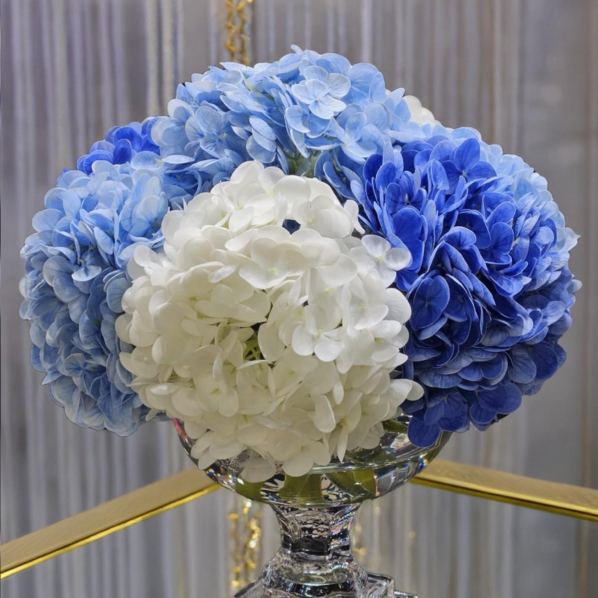 Cote Noire - Provence Mavi & Silver Ortanca Koku M