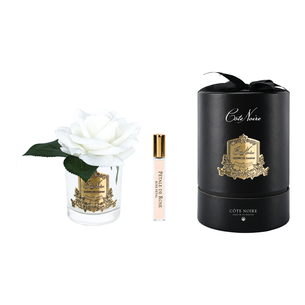 Cote Noire - Tek Güllü Beyaz & Gold Kokulu Çiçek M