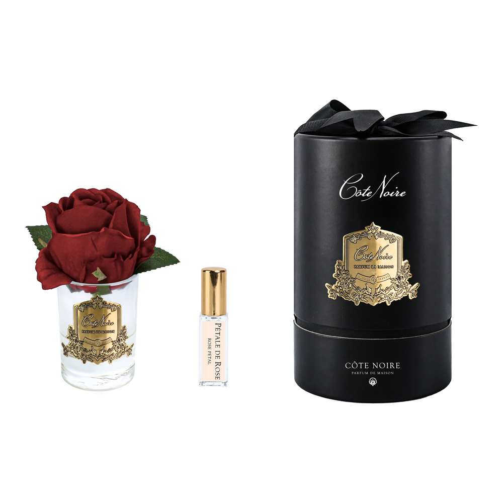 Cote Noire - Tek Güllü Bordo & Gold Kokulu Çiçek