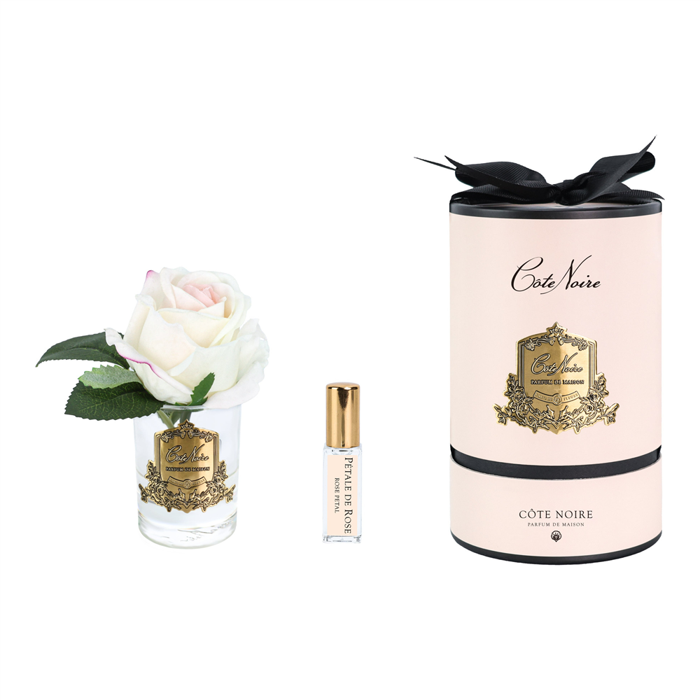 Cote Noire - Tek Güllü Ebruli & Gold Kokulu Çiçek