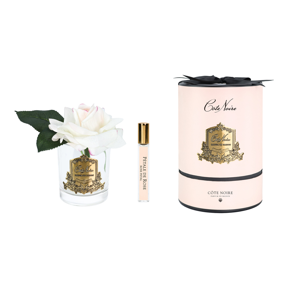 Cote Noire - Tek Güllü Ebruli & Gold Kokulu Çiçek M