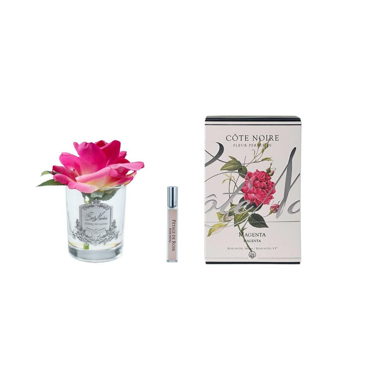 Cote Noire - Tek Güllü Fuşya Koku