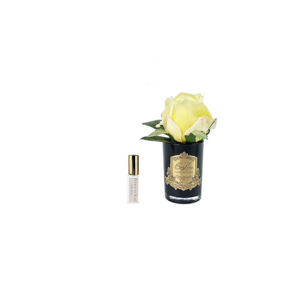 Cote Noire - Tek Güllü Gold  Sarı Çiçek