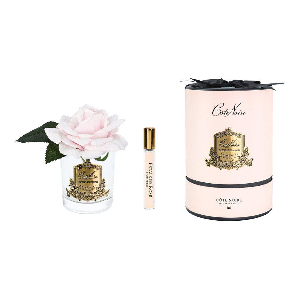 Cote Noire - Tek Güllü Pembe & Gold Kokulu Çiçek M