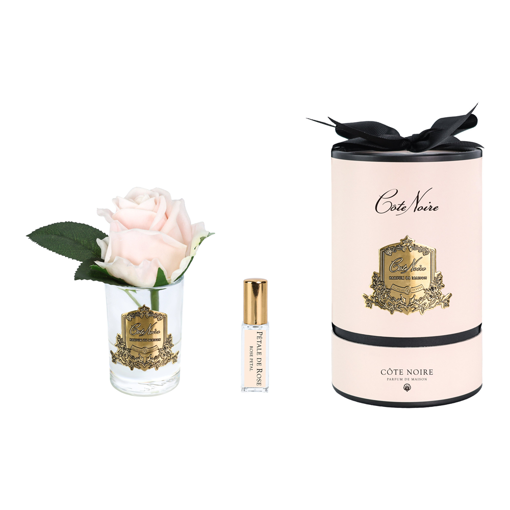 Cote Noire - Tek Güllü Pembe & Gold Kokulu Çiçek