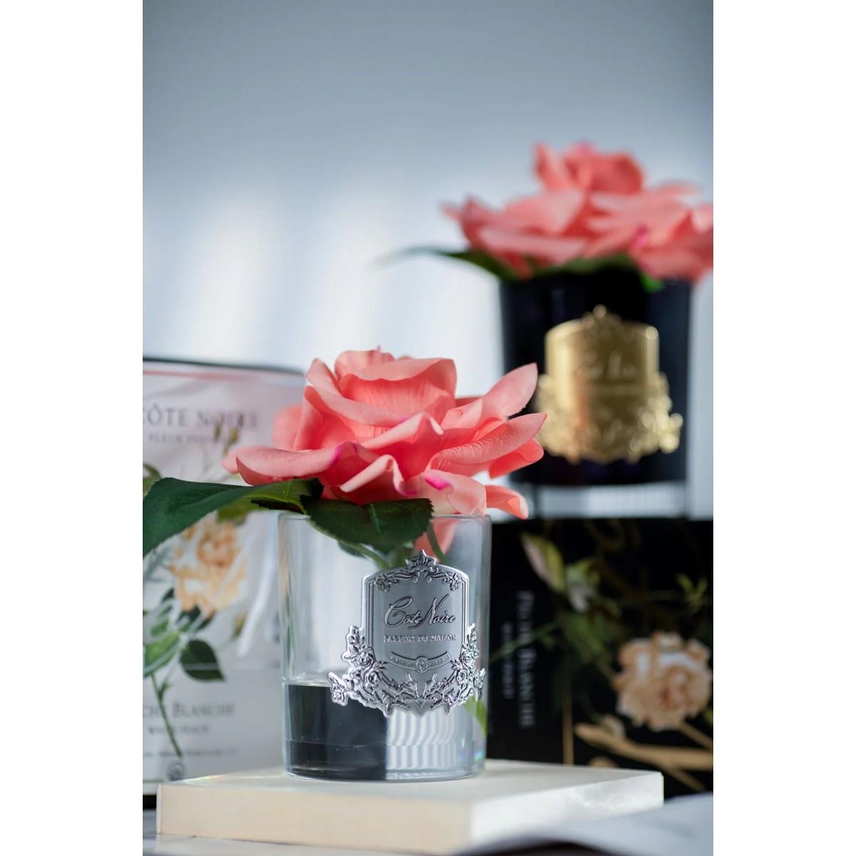 Cote Noire - Tek Güllü Şeftali Koku