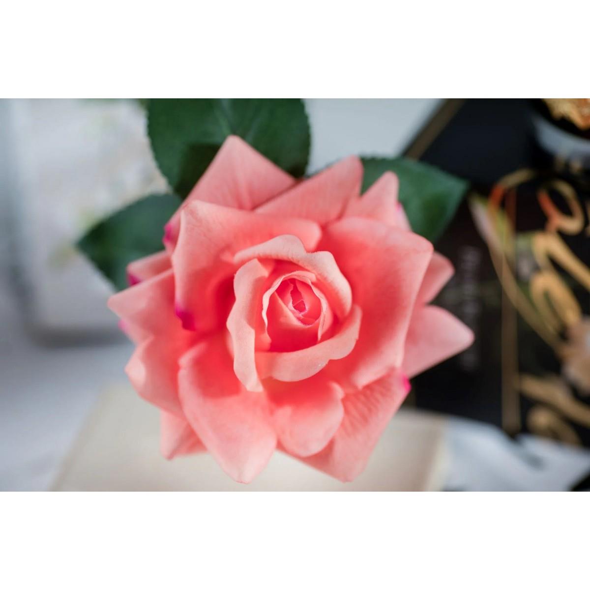 Cote Noire - Tek Güllü Şeftali Koku