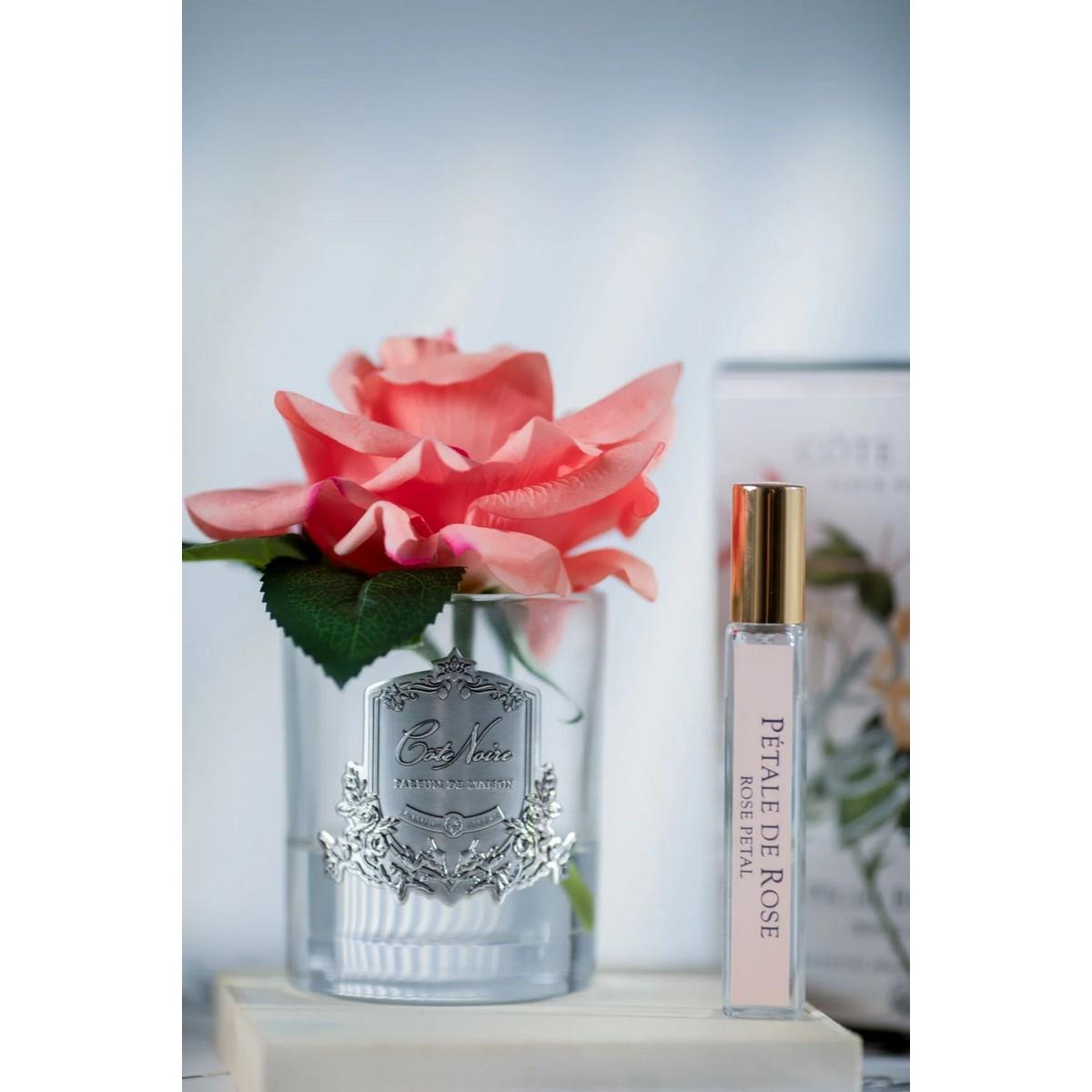 Cote Noire - Tek Güllü Şeftali Koku