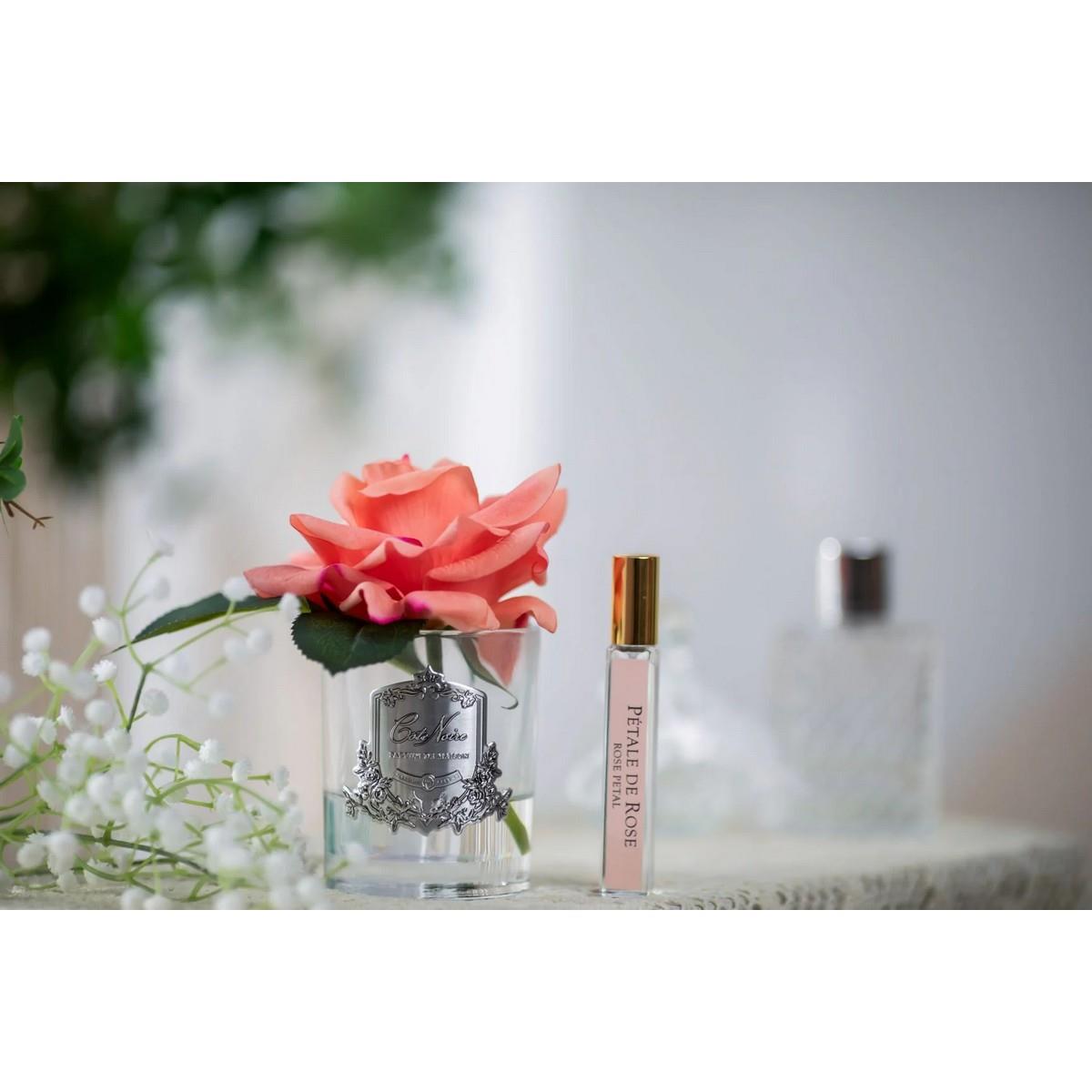 Cote Noire - Tek Güllü Şeftali Koku