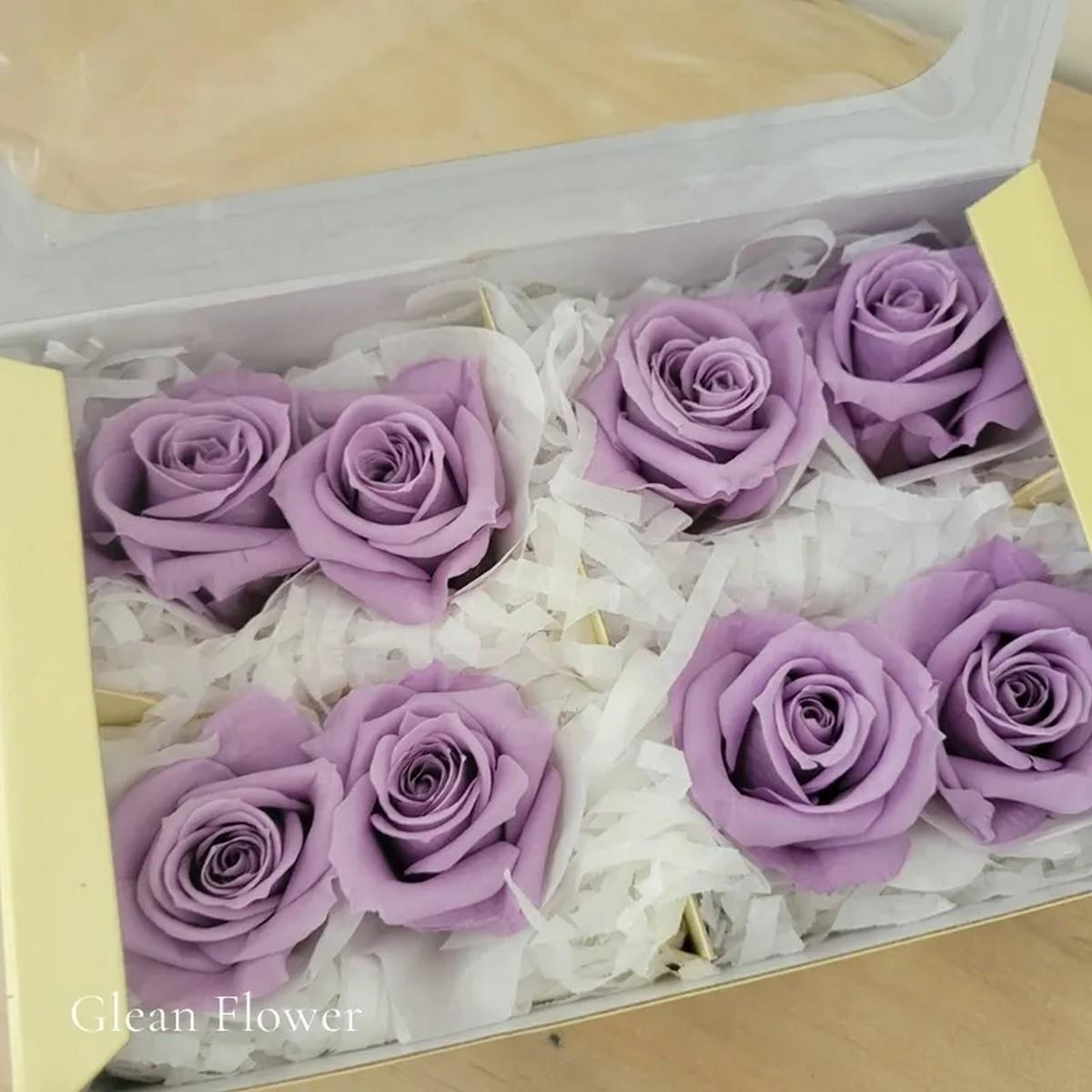 Rose & Amor - Solmayan Gül Lila