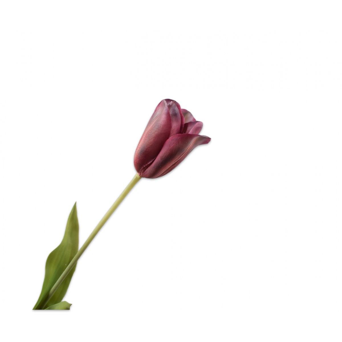 Silkka - 72 Cm Bordo Lale