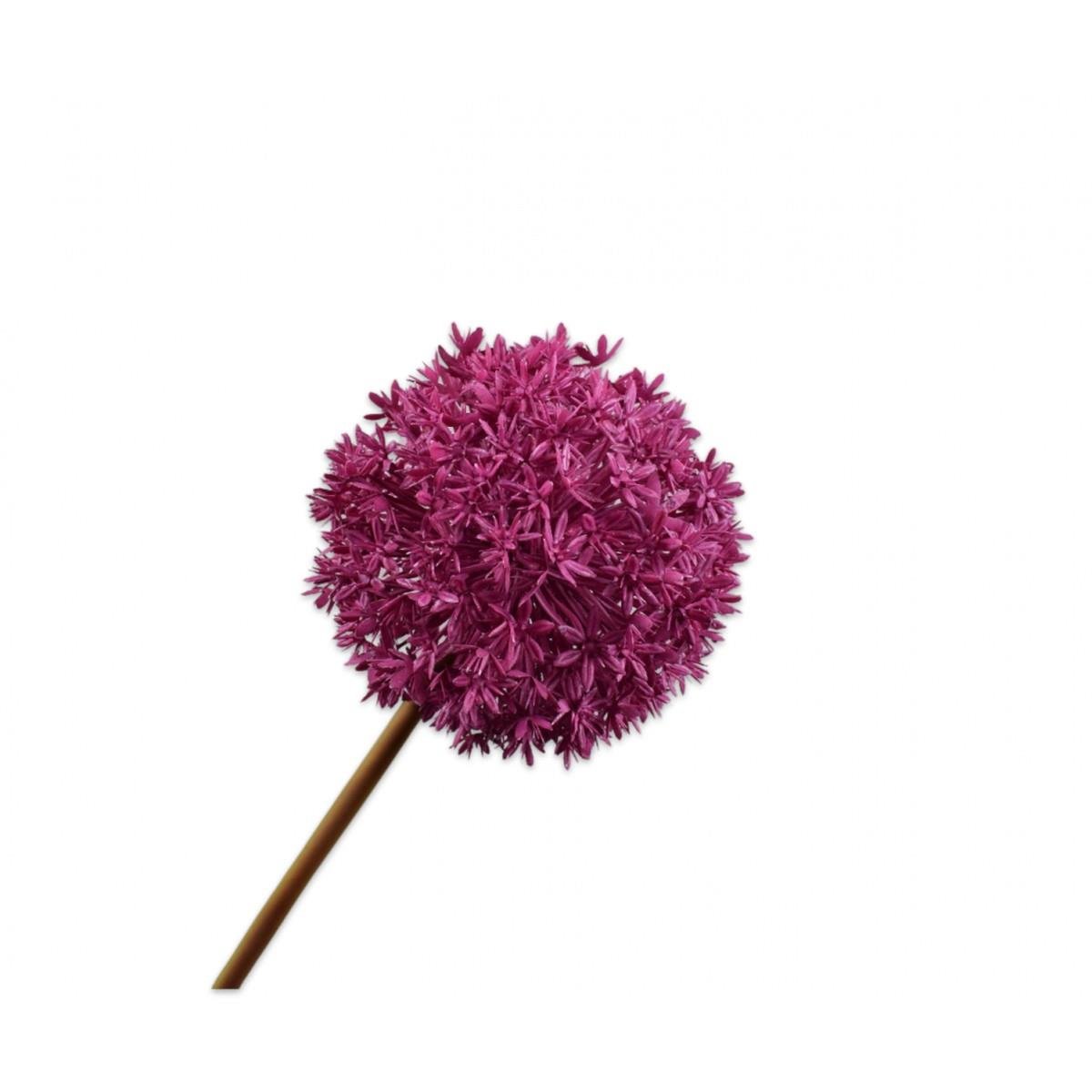 Silkka - 79 Cm Allium Mor 