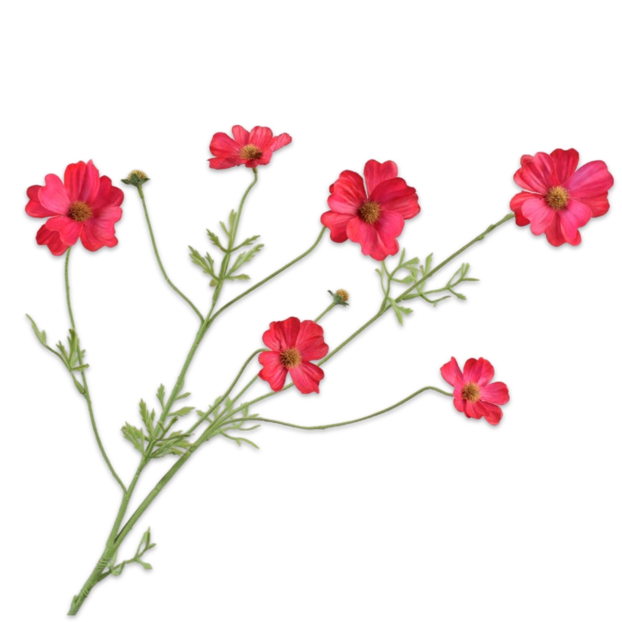 Silkka - Cosmos Dal Pembe 149 Cm 