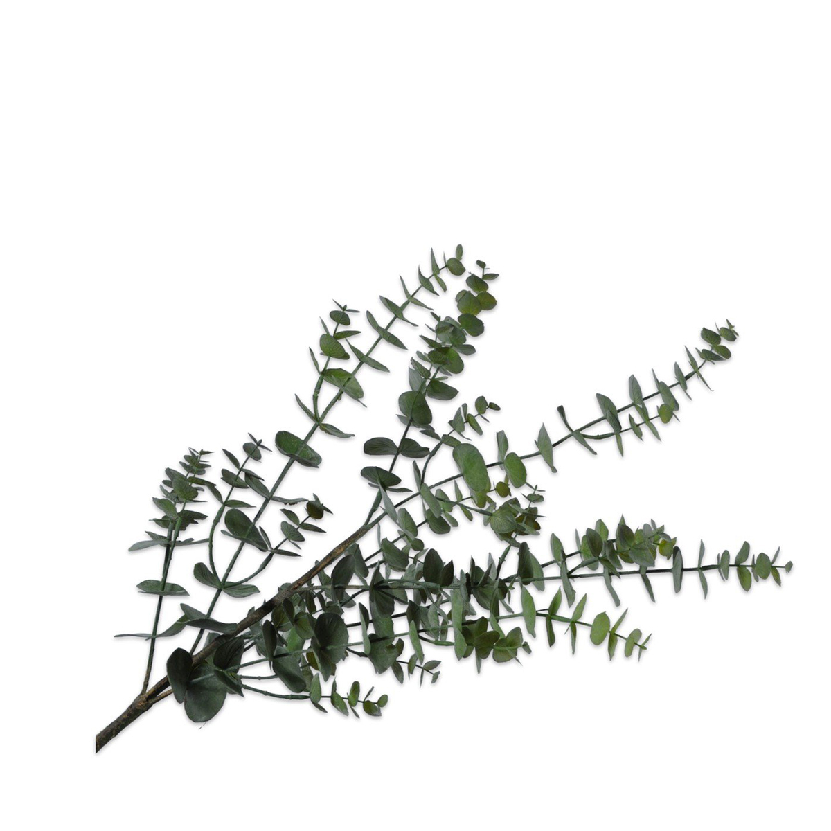 Silkka - Eucalyptus Green 111 cm