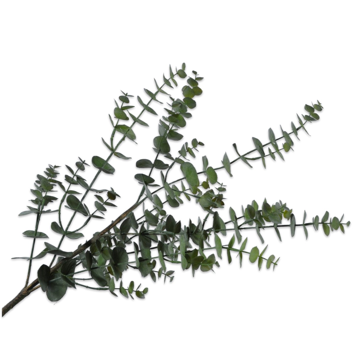 Silkka - Eucalyptus Green 111 Cm