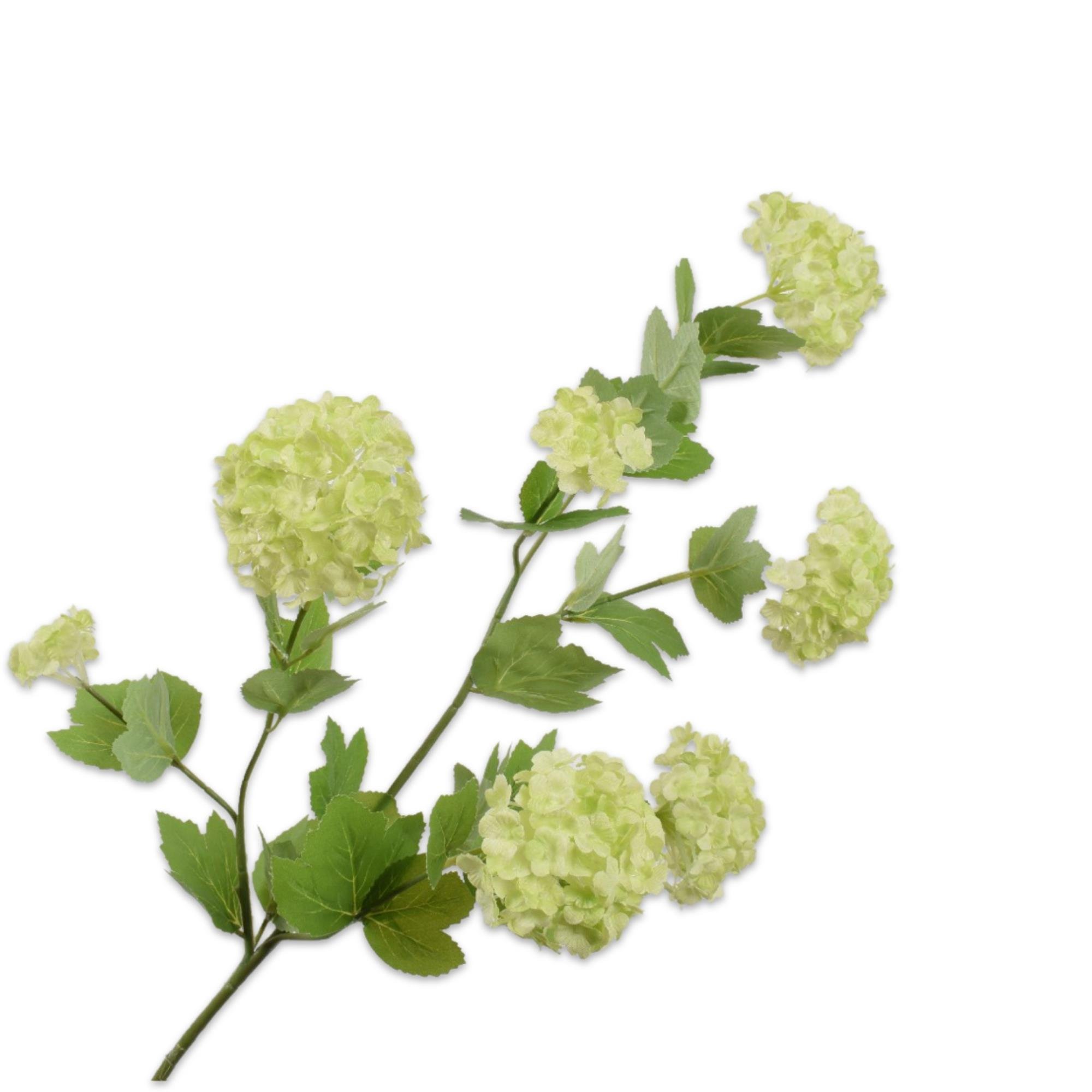 Silkka - Kartopu Yeşil 78 Cm