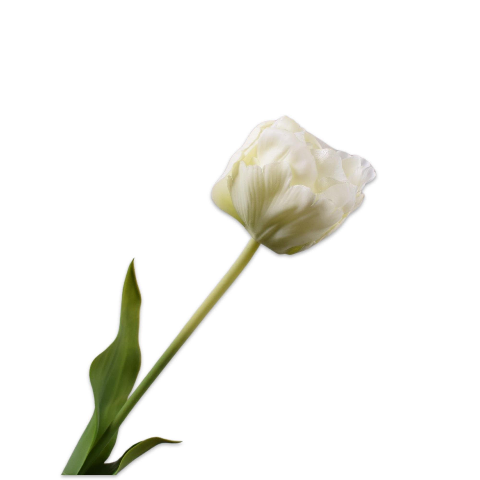 Silkka - Lale Beyaz 66 Cm