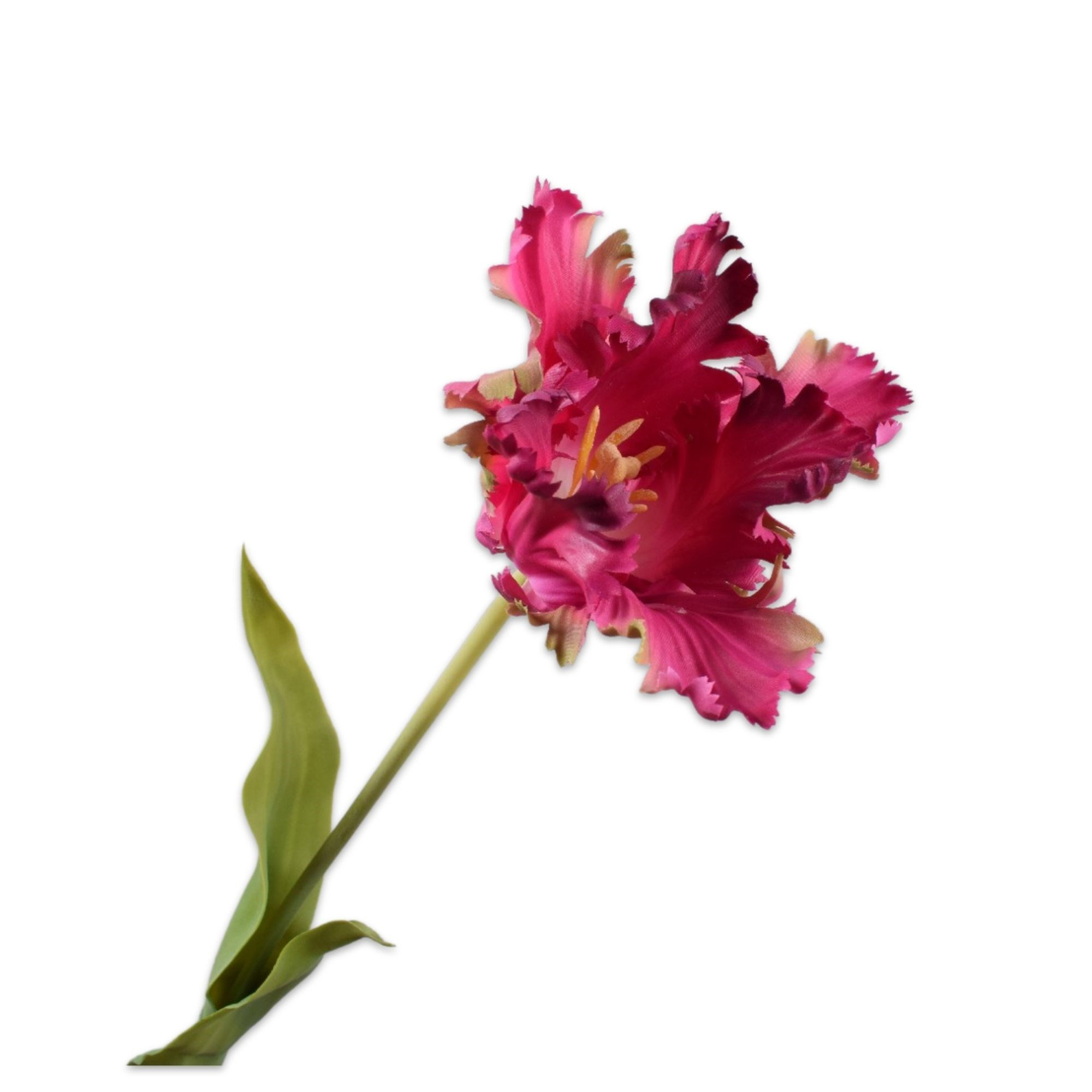 Silkka - Lale Mor & Pembe 71 Cm