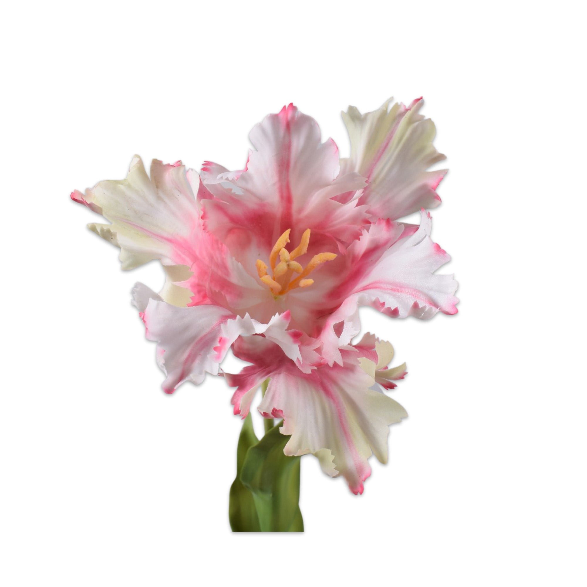 Silkka - Lale Pembe & Beyaz 71 Cm