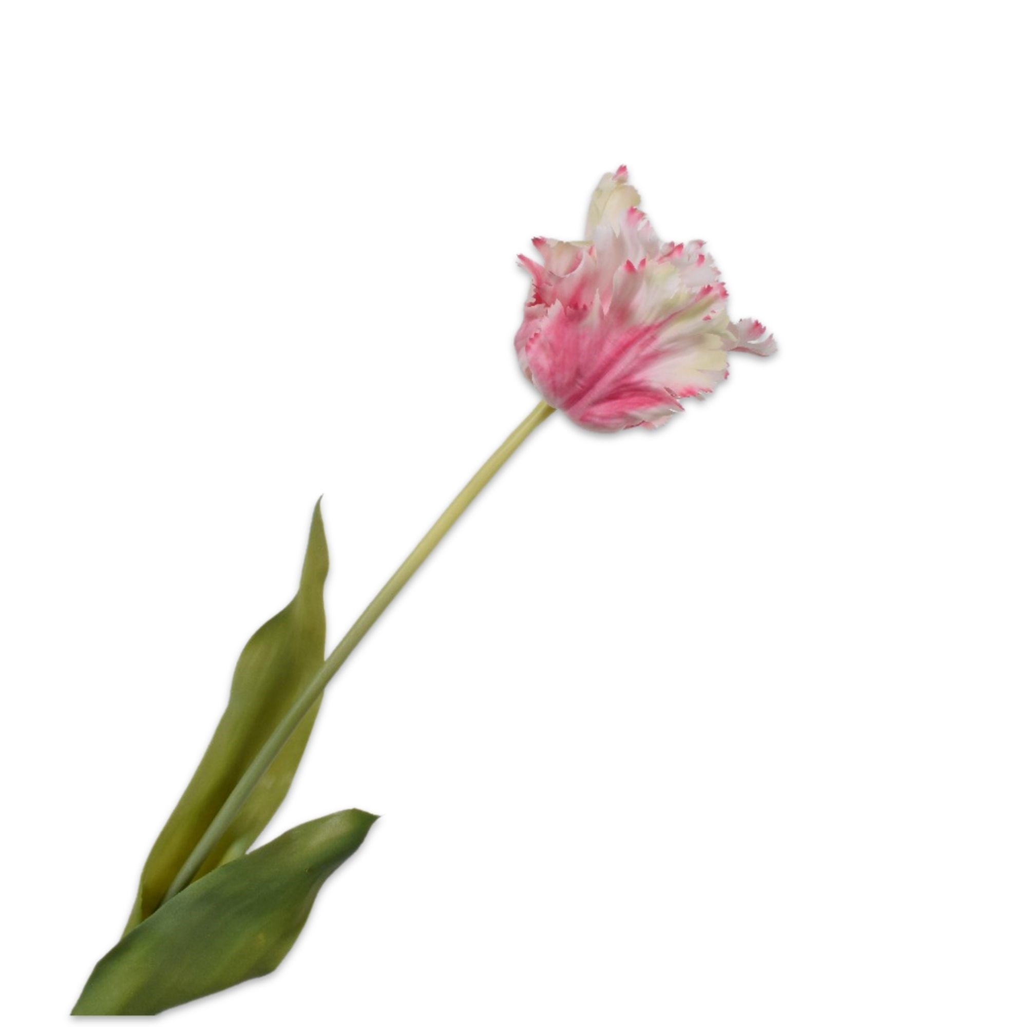 Silkka - Lale Pembe & Beyaz 71 Cm