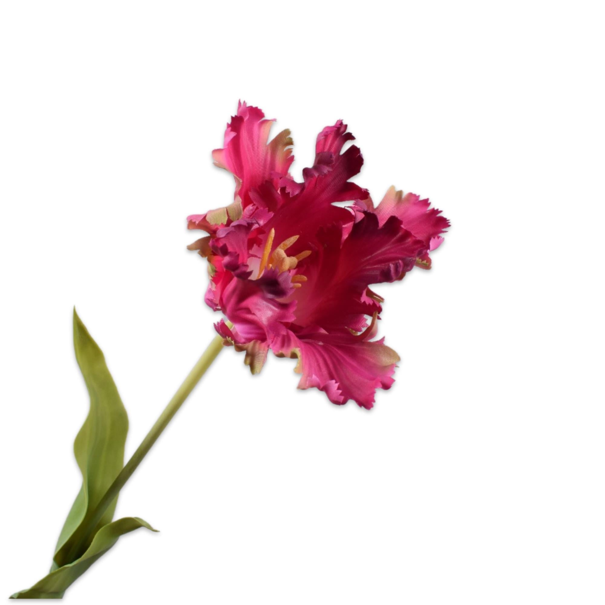 Silkka - Lale Pembe & Bordo 71 Cm