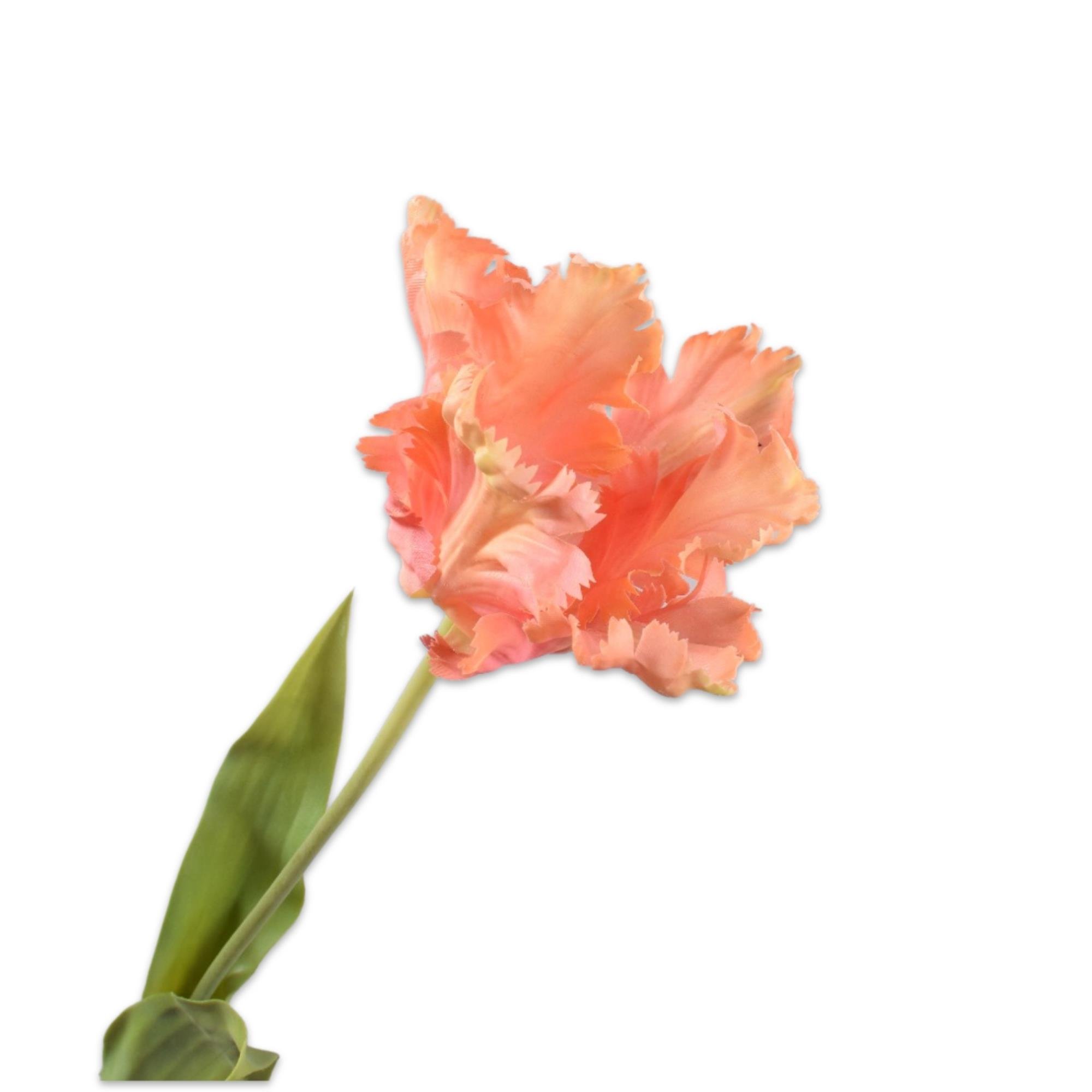 Silkka - Lale Şeftali 71 Cm