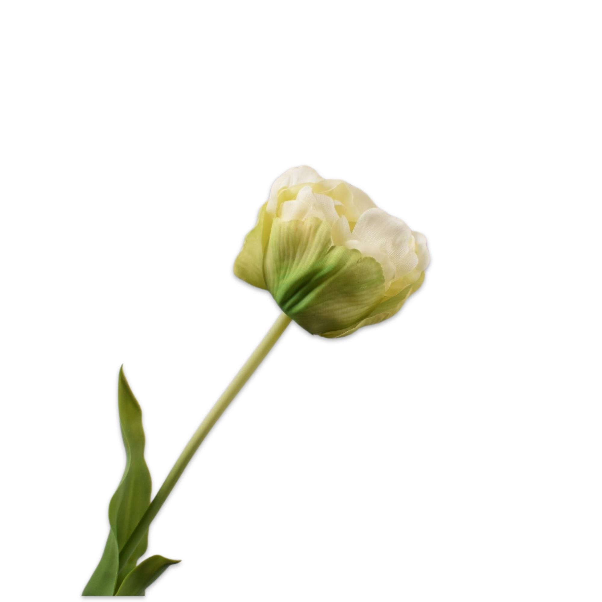 Silkka - Lale Yeşil & Beyaz 66 Cm