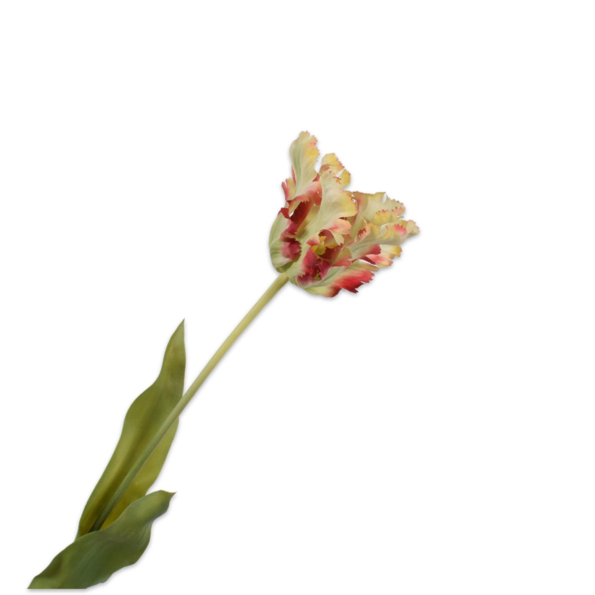 Silkka - Lale Yeşil & Kırmızı 71 Cm