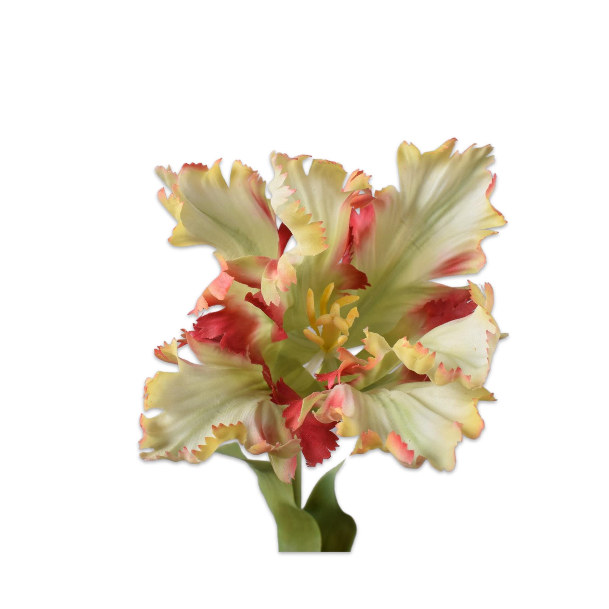 Silkka - Lale Yeşil & Kırmızı 71 Cm