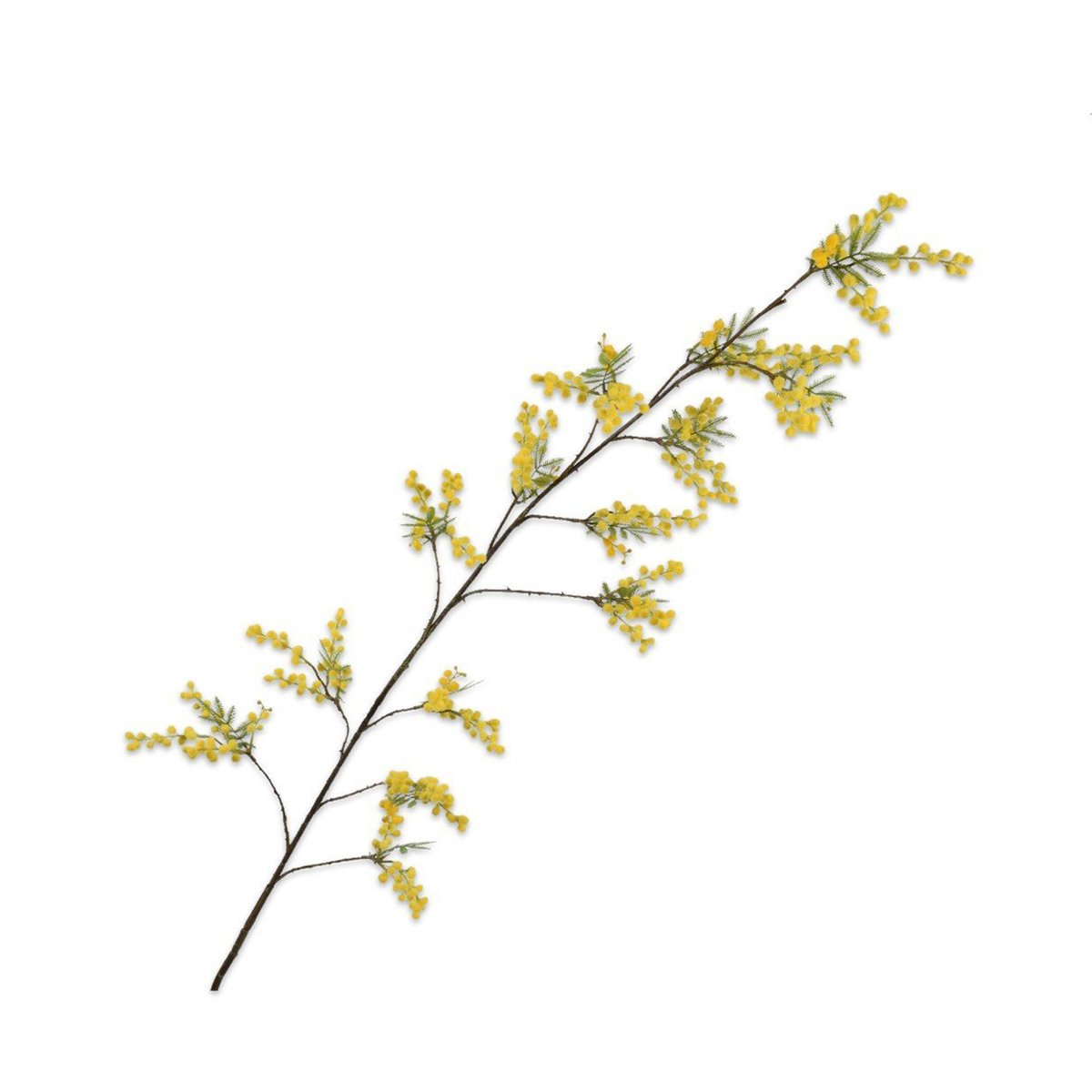 Silkka - Mimosa Yellow 165 cm