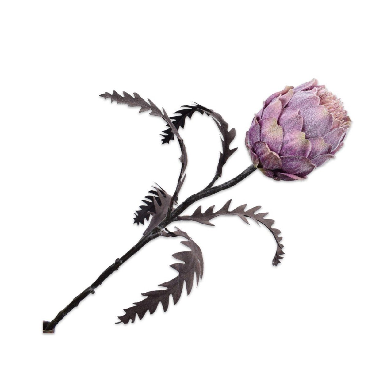 Silkka - Protea Lavend 63 cm