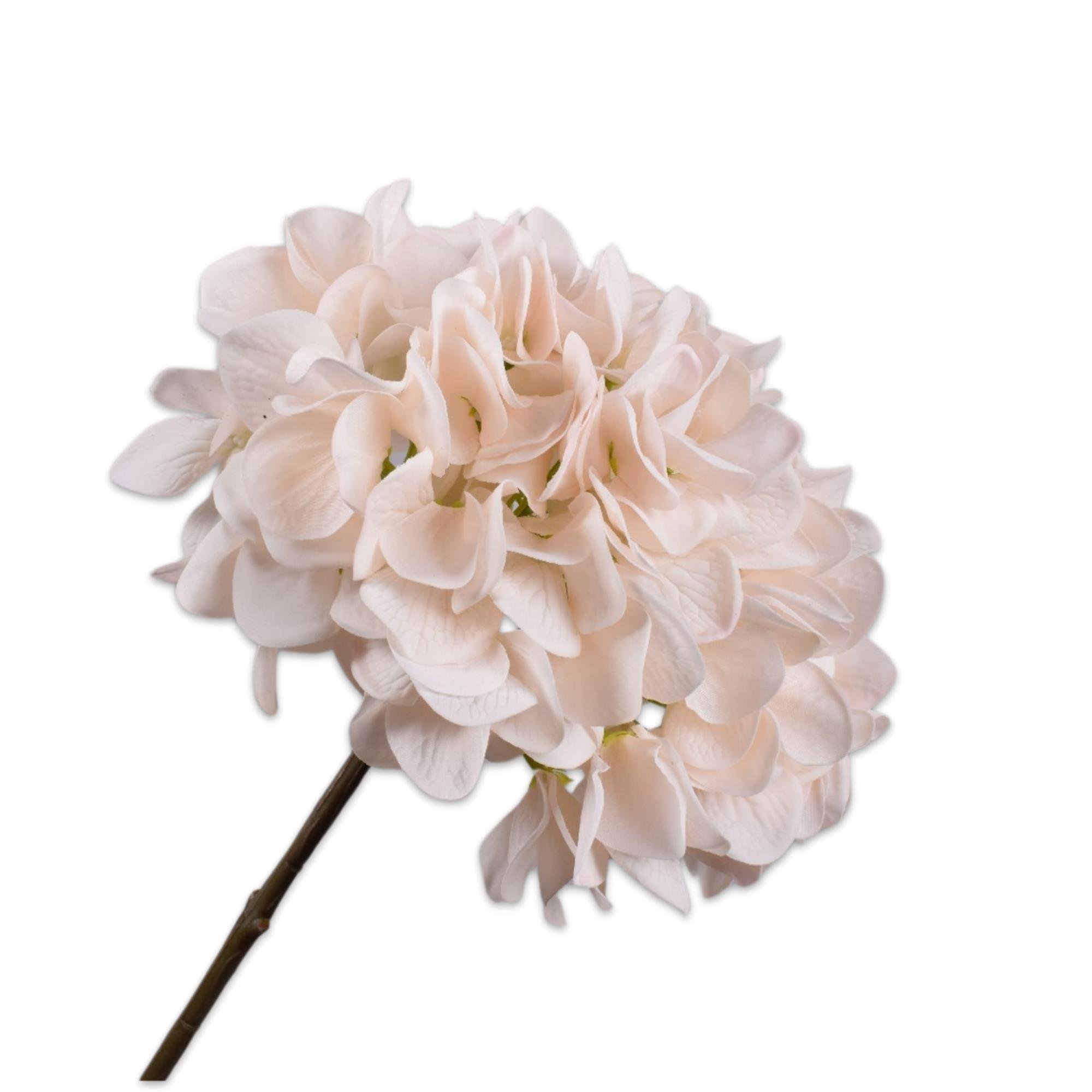 Silkka - Pudra Ortanca 50 Cm