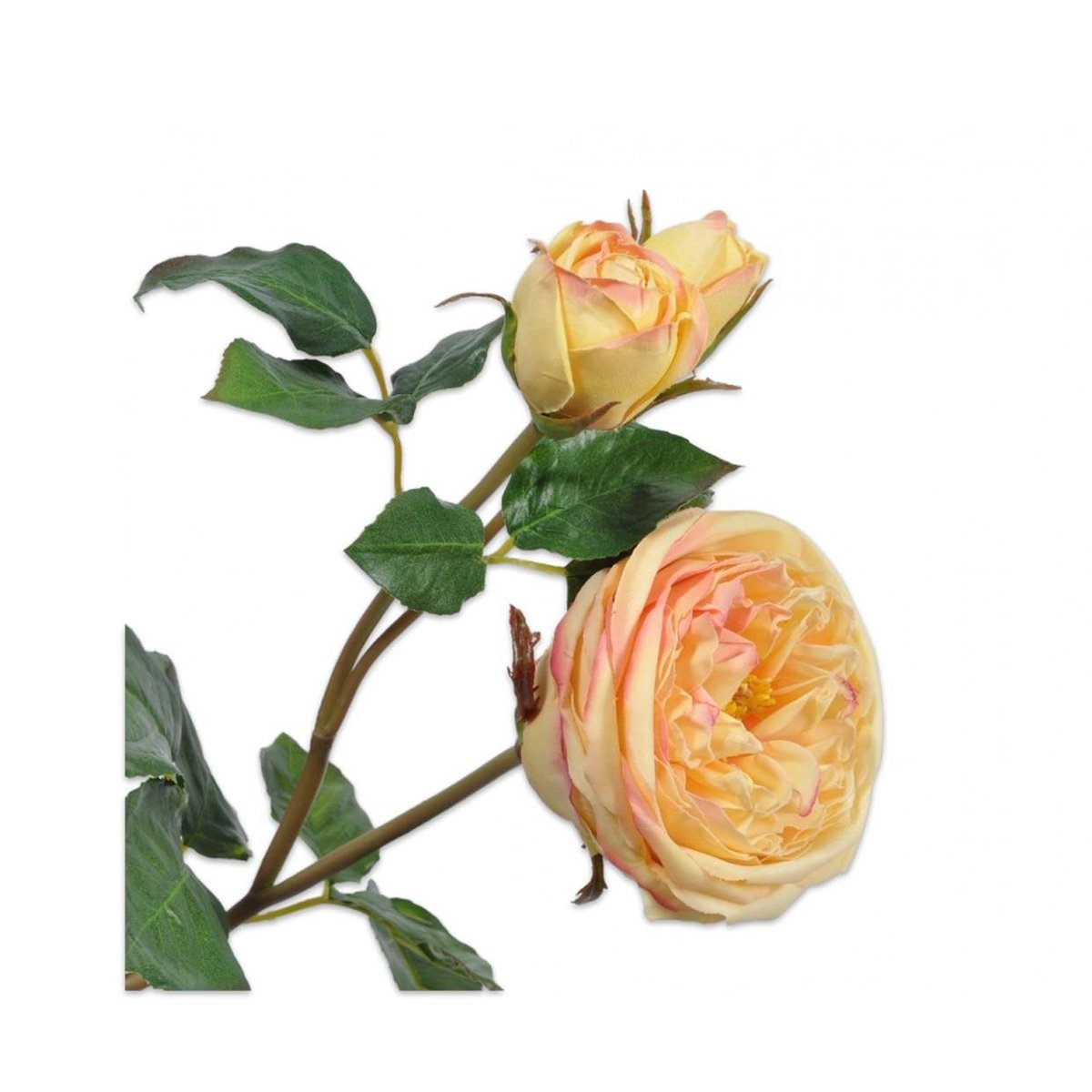 Silkka - Sarı 57 Cm Gül