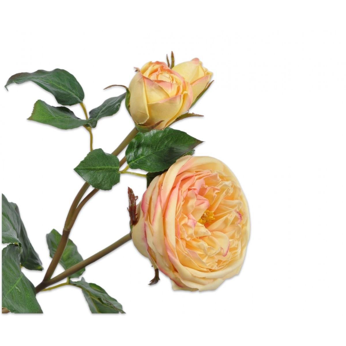 Silkka - Sarı 57 Cm Gül