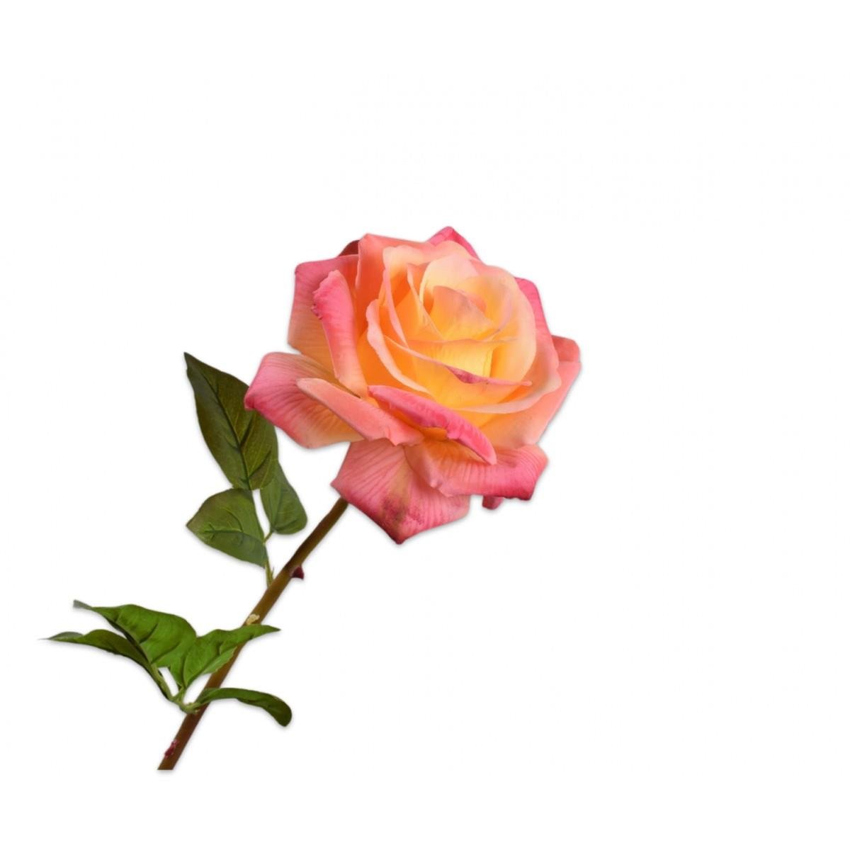 Silkka - Şeftali Rengi 68 Cm Gül