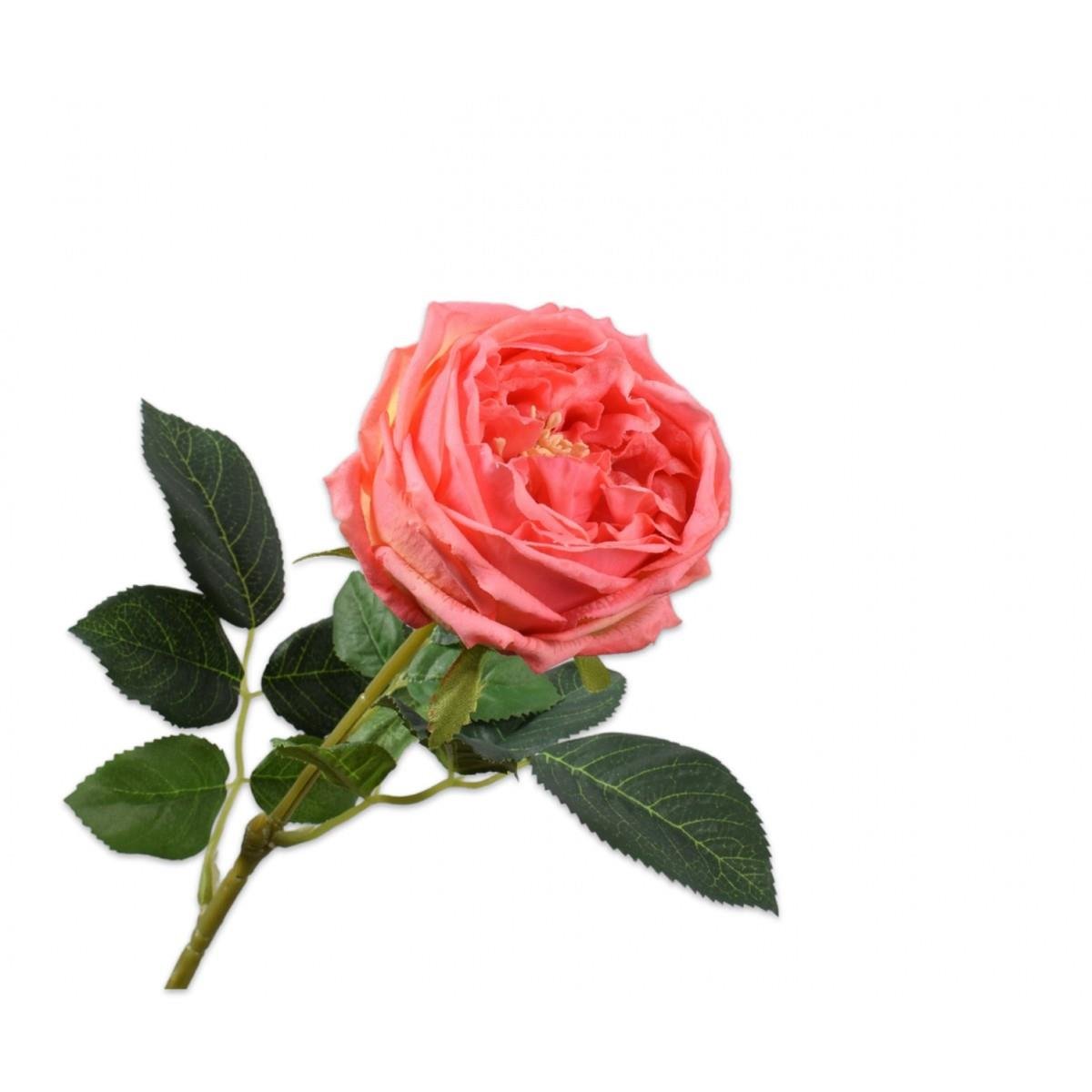 Silkka - Turuncu 59 Cm Gül