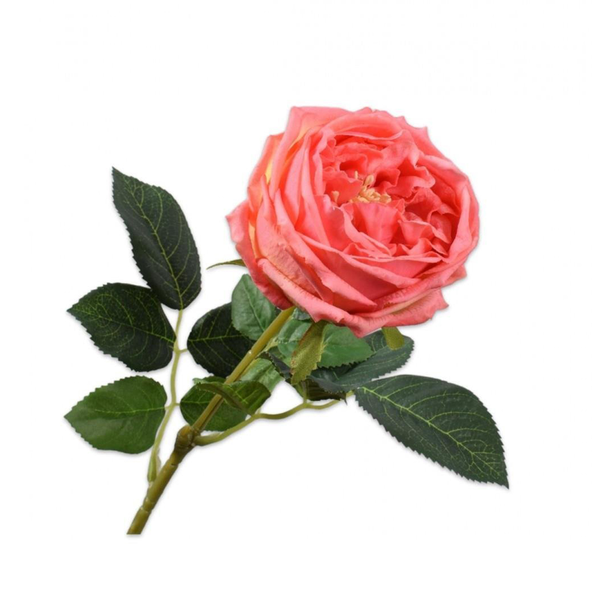 Silkka - Turuncu 59 Cm Gül